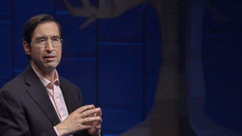 “L’autoestima és clau per a la intel·ligència del teu fill”
