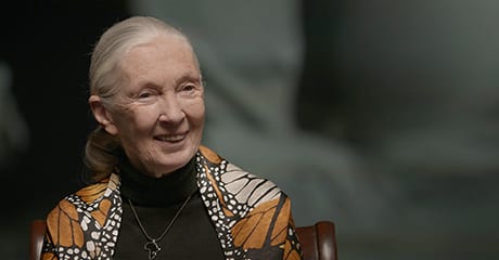 El mensaje de Jane Goodall a las niñas que quieren ser científicas